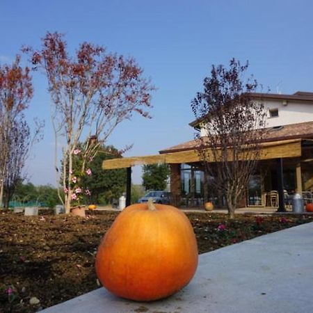 Agriturismo Campogrande 카르파네토 피아센티노 외부 사진