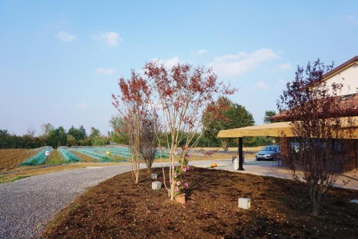 Agriturismo Campogrande 카르파네토 피아센티노 외부 사진